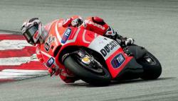 Dovi ducati